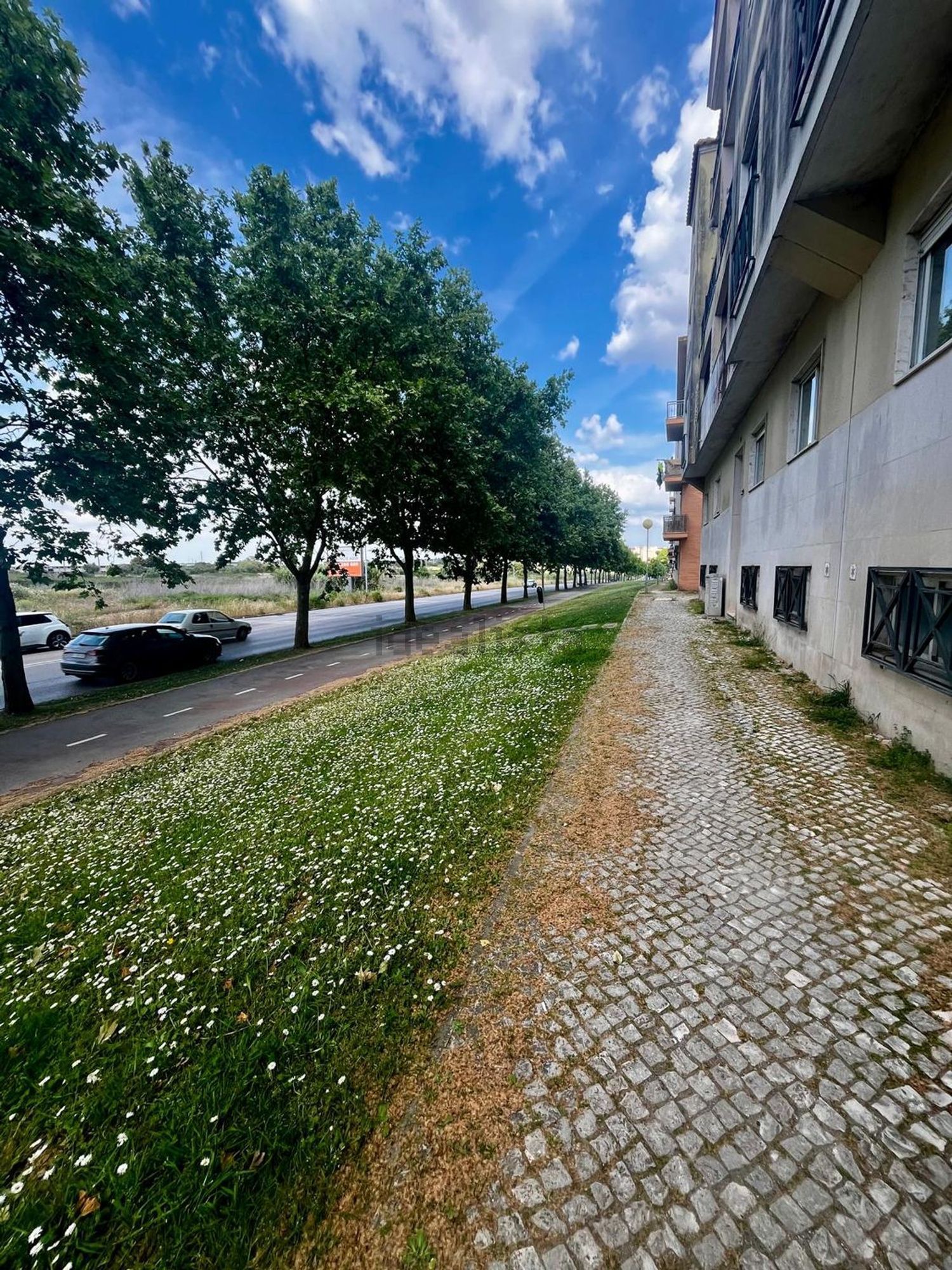 公寓 t3出售在Avenida Dom João II, 613 - 花园
