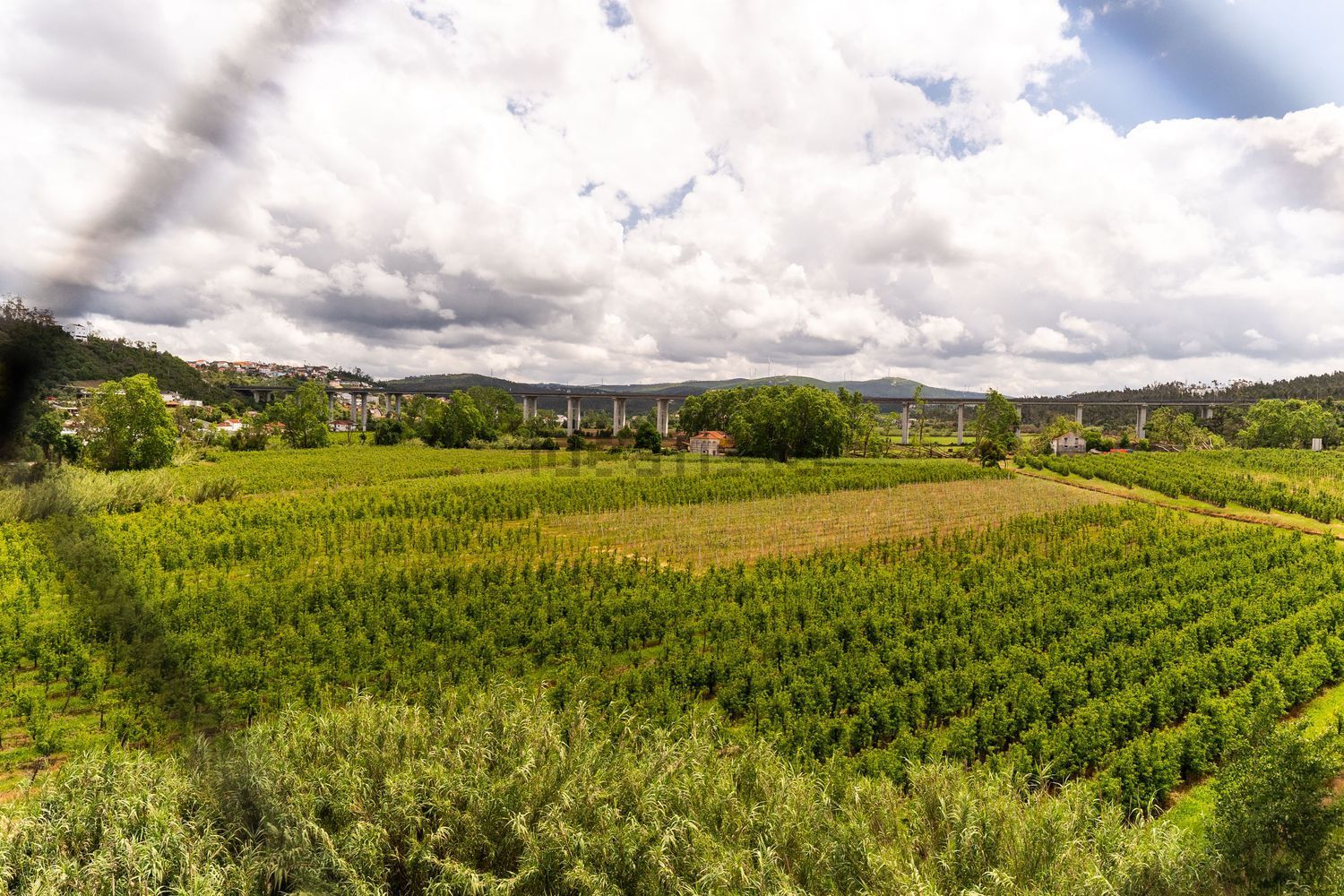 公寓 t3出售在 Quinta de São Venâncio, 13 - 视线