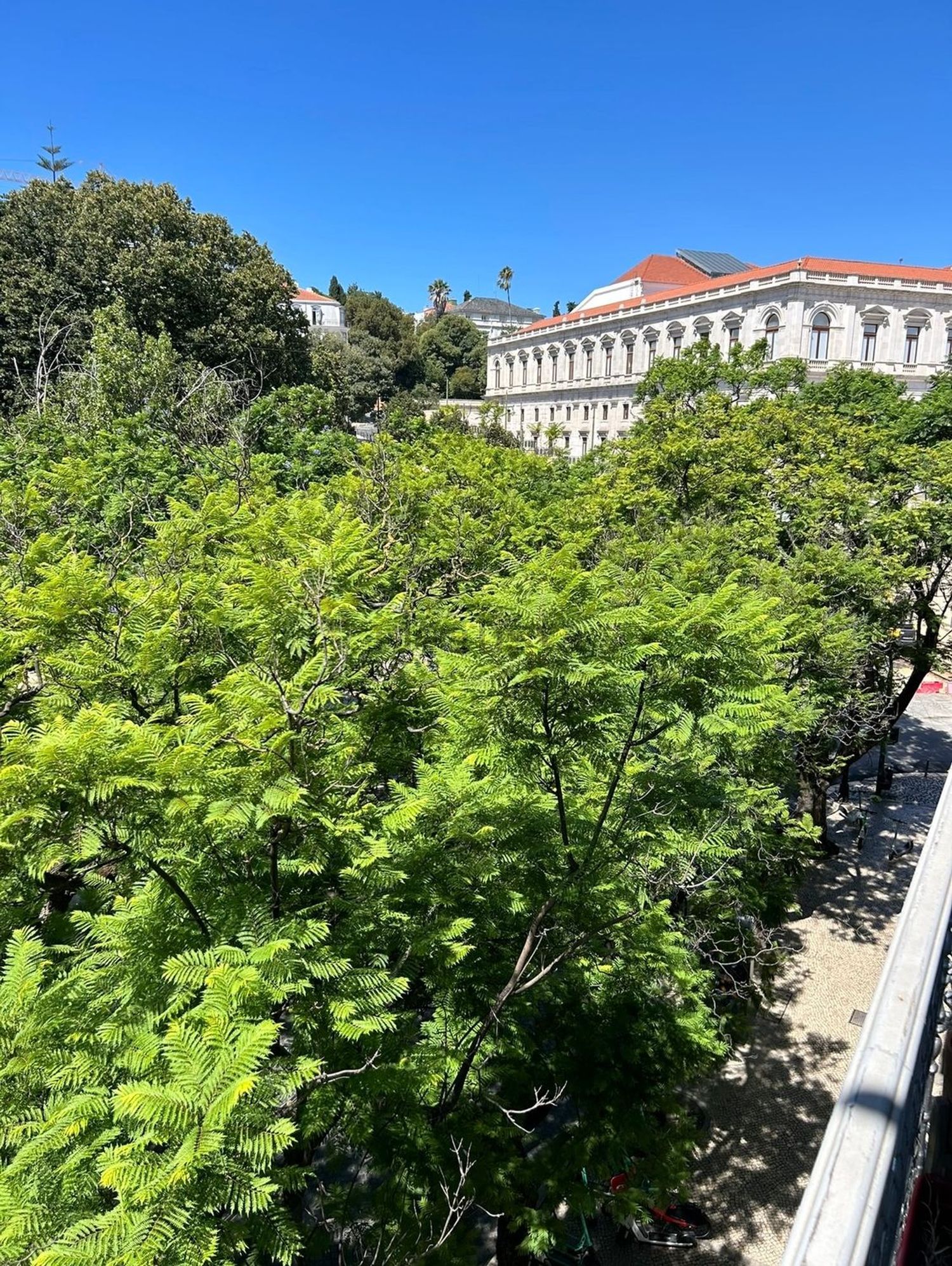 出租公寓 t1在Avenida Dom Carlos I, 144 - 视线
