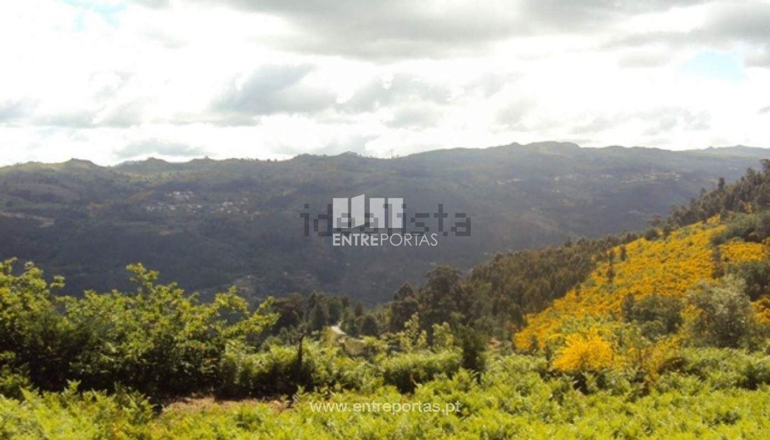 小楼房或别墅出售在 Cinfães - 视线