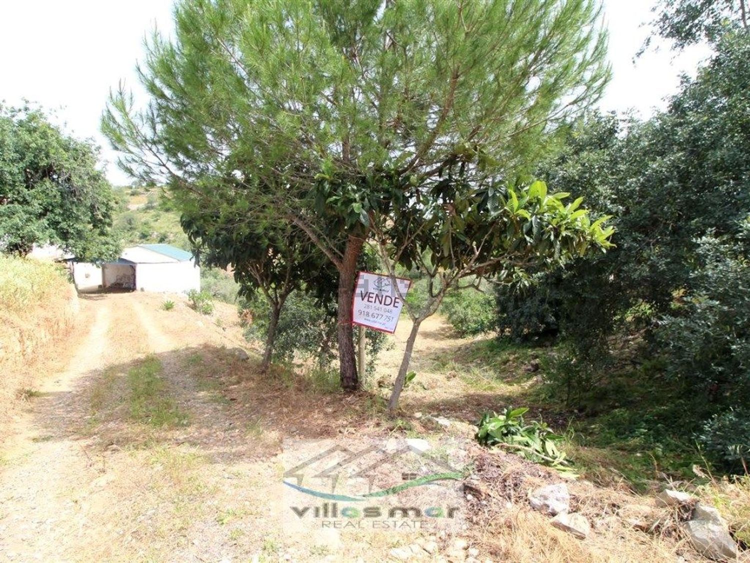 小楼房或独栋别墅出售在 Santa Margarida - Bernardinheiro - 前厅