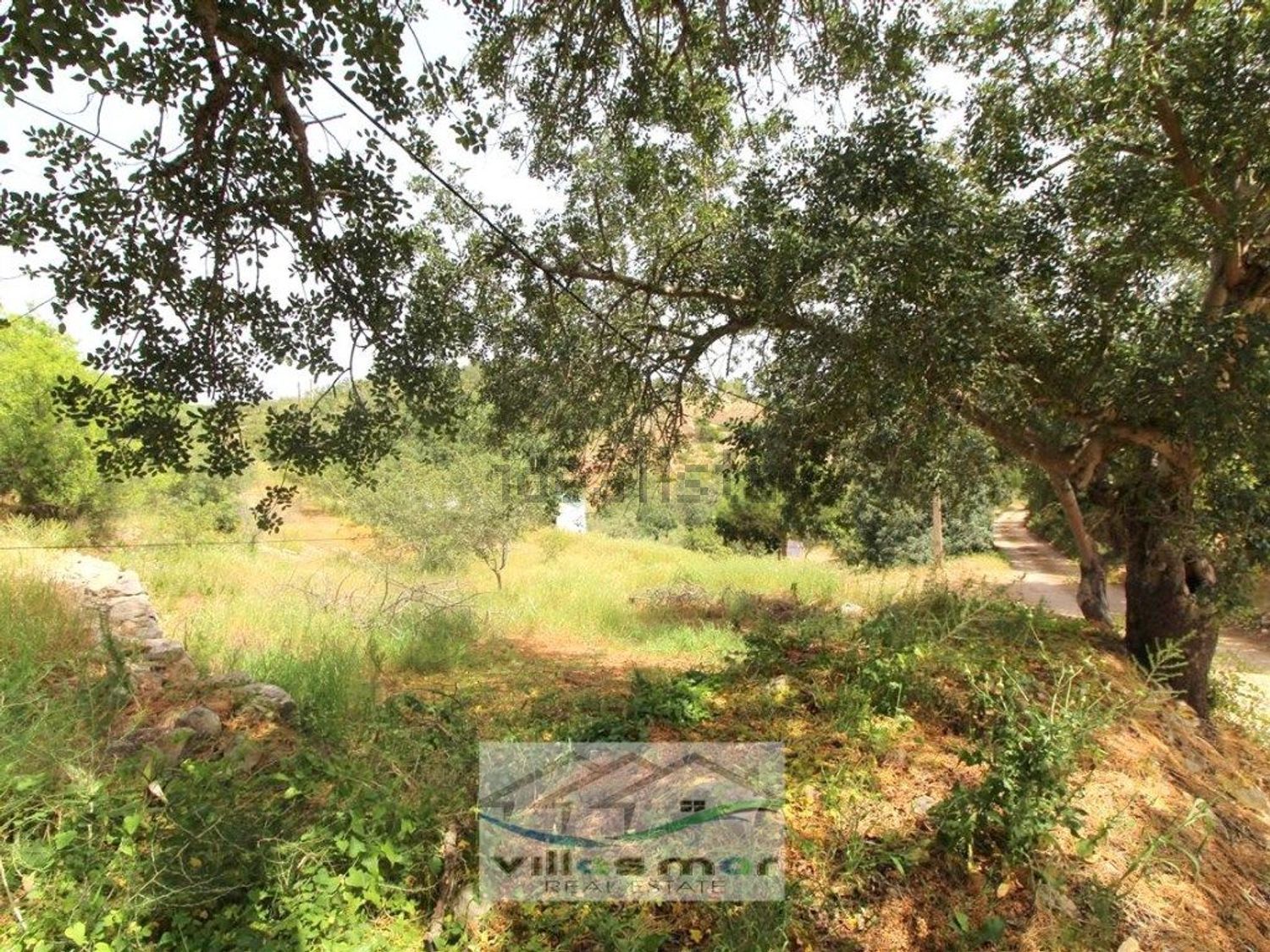小楼房或独栋别墅出售在 Santa Margarida - Bernardinheiro - 花园