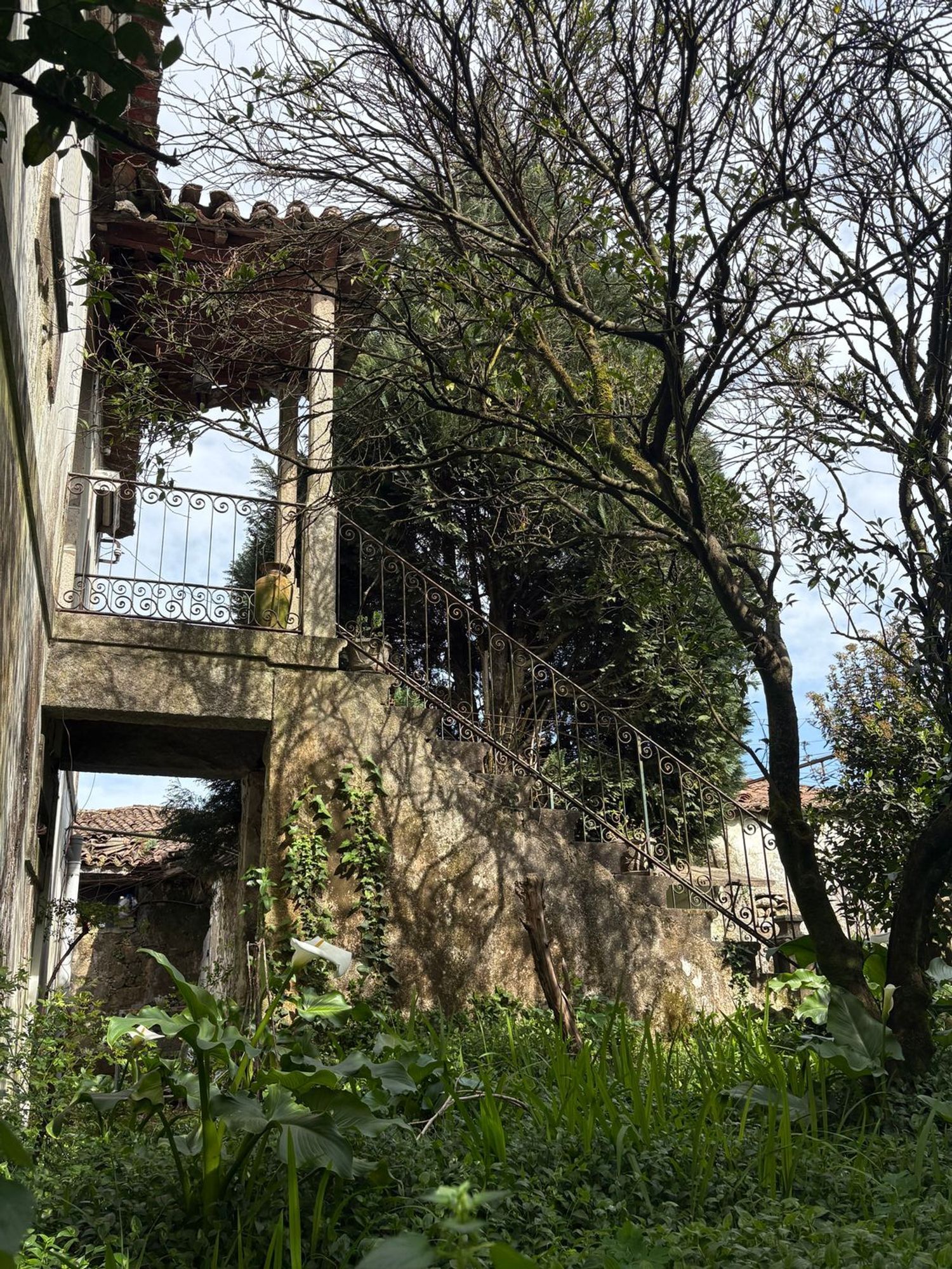 庄园出售在Rua da Agrafonte, 50 - 外立面