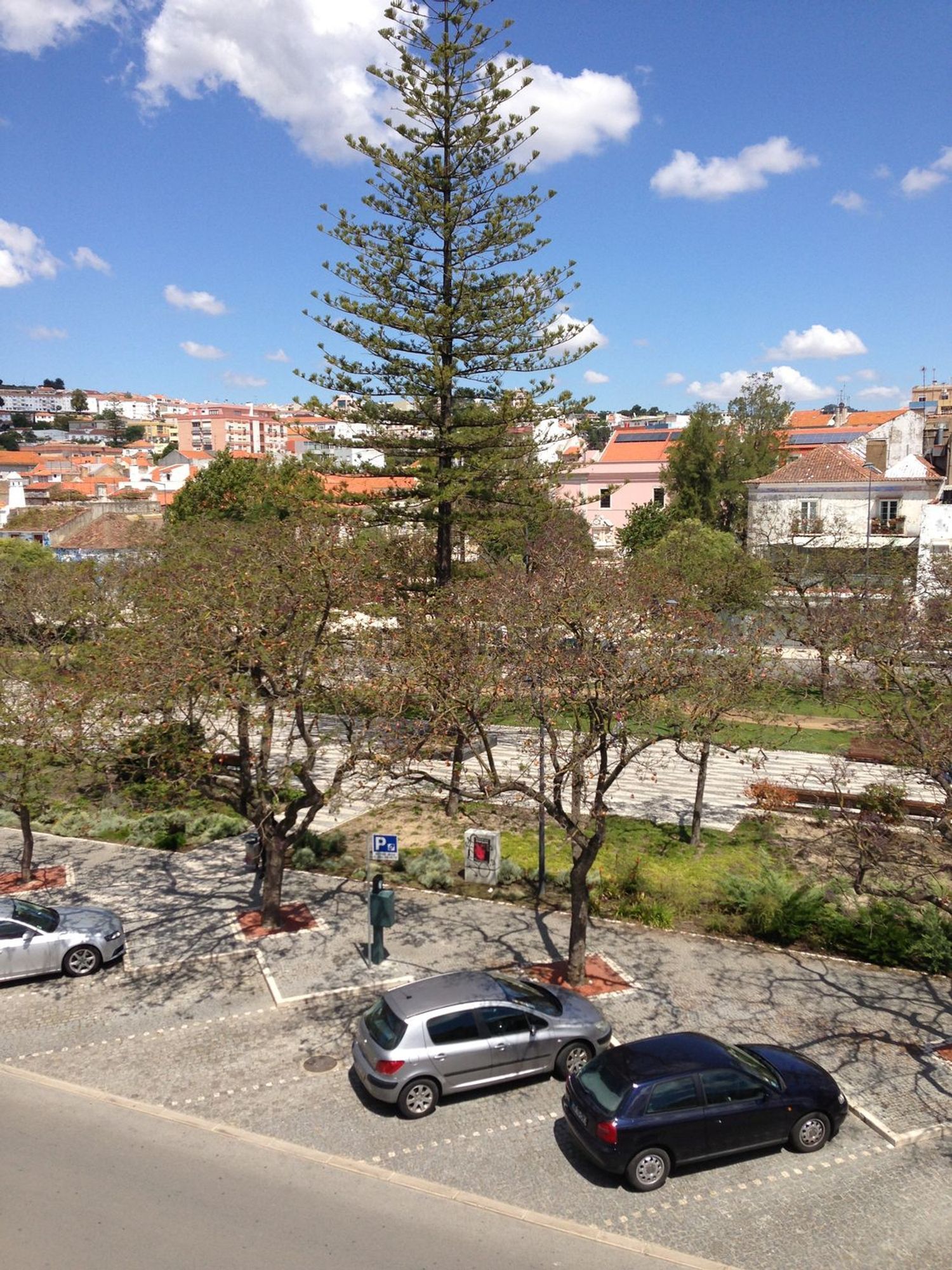 出租t0（单人公寓）在Avenida Luísa Todi, 247 - 视线