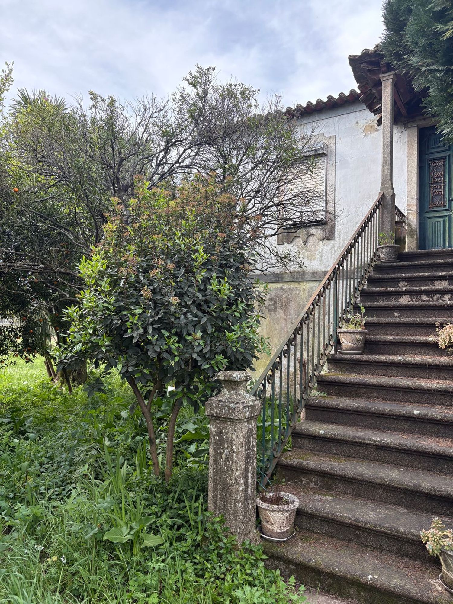 庄园出售在Rua da Agrafonte, 50 - 花园