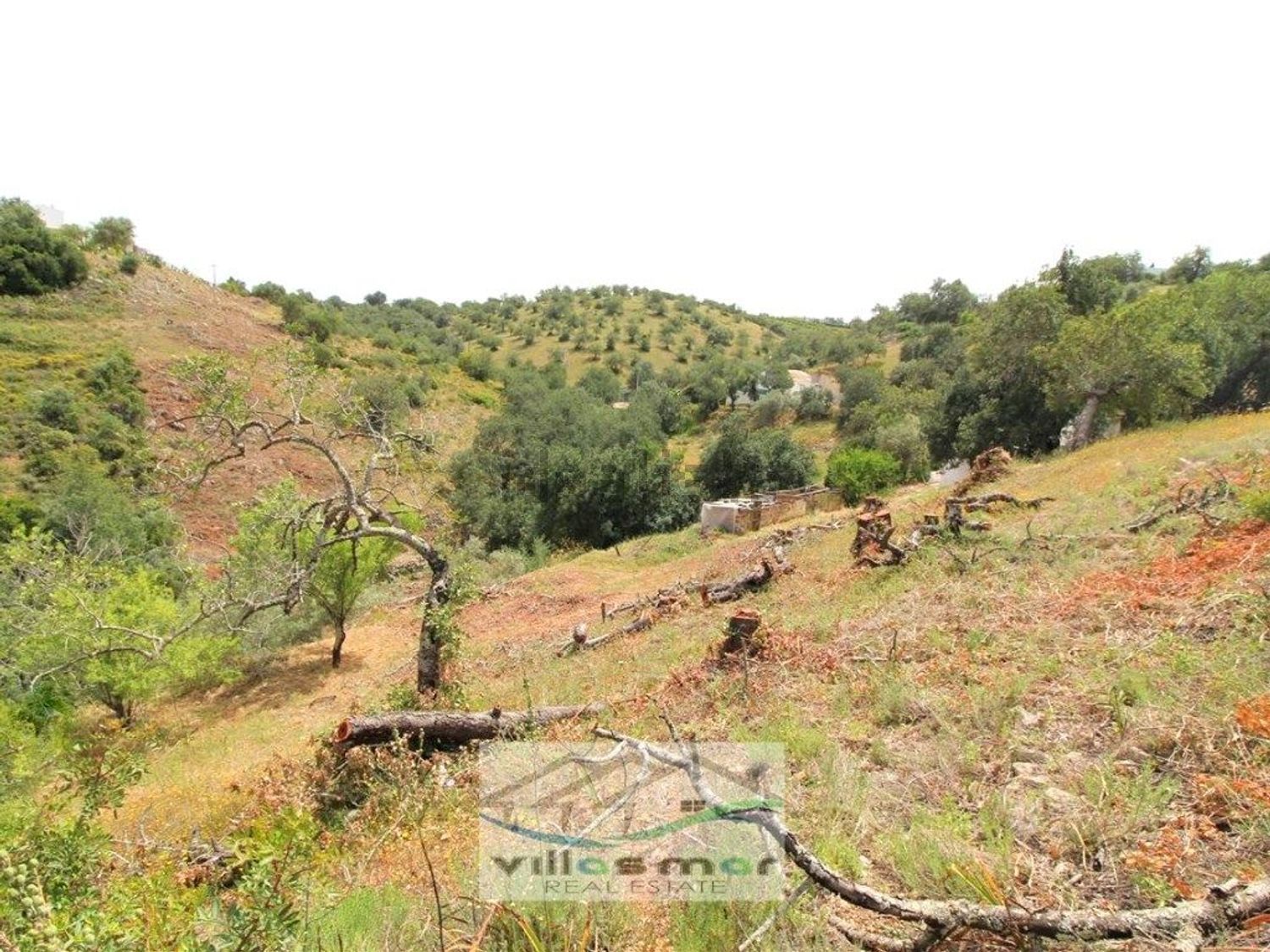 小楼房或独栋别墅出售在 Santa Margarida - Bernardinheiro - 花园