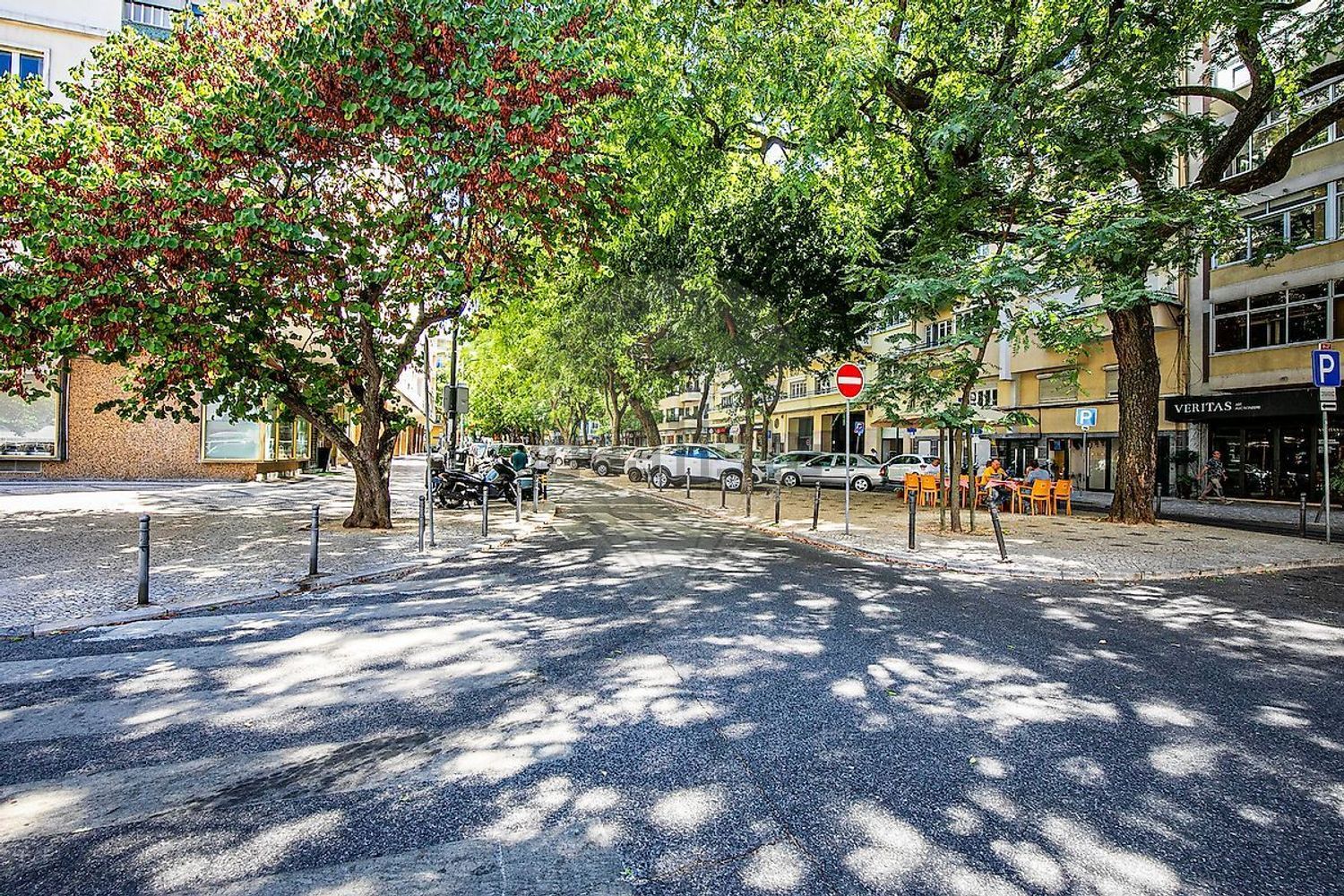 出租公寓 t5在Avenida Elias Garcia - 花园