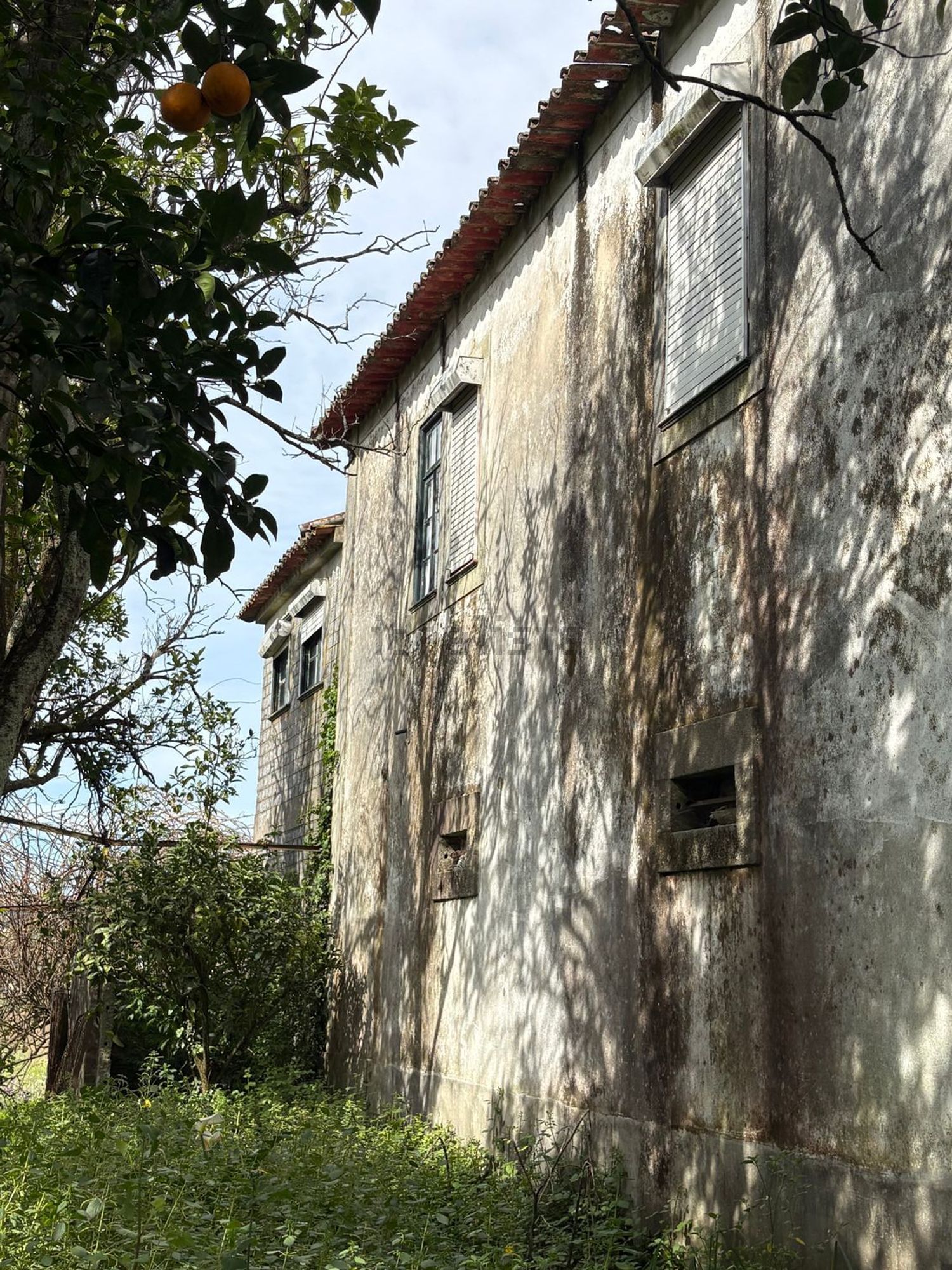 庄园出售在Rua da Agrafonte, 50 - 照片