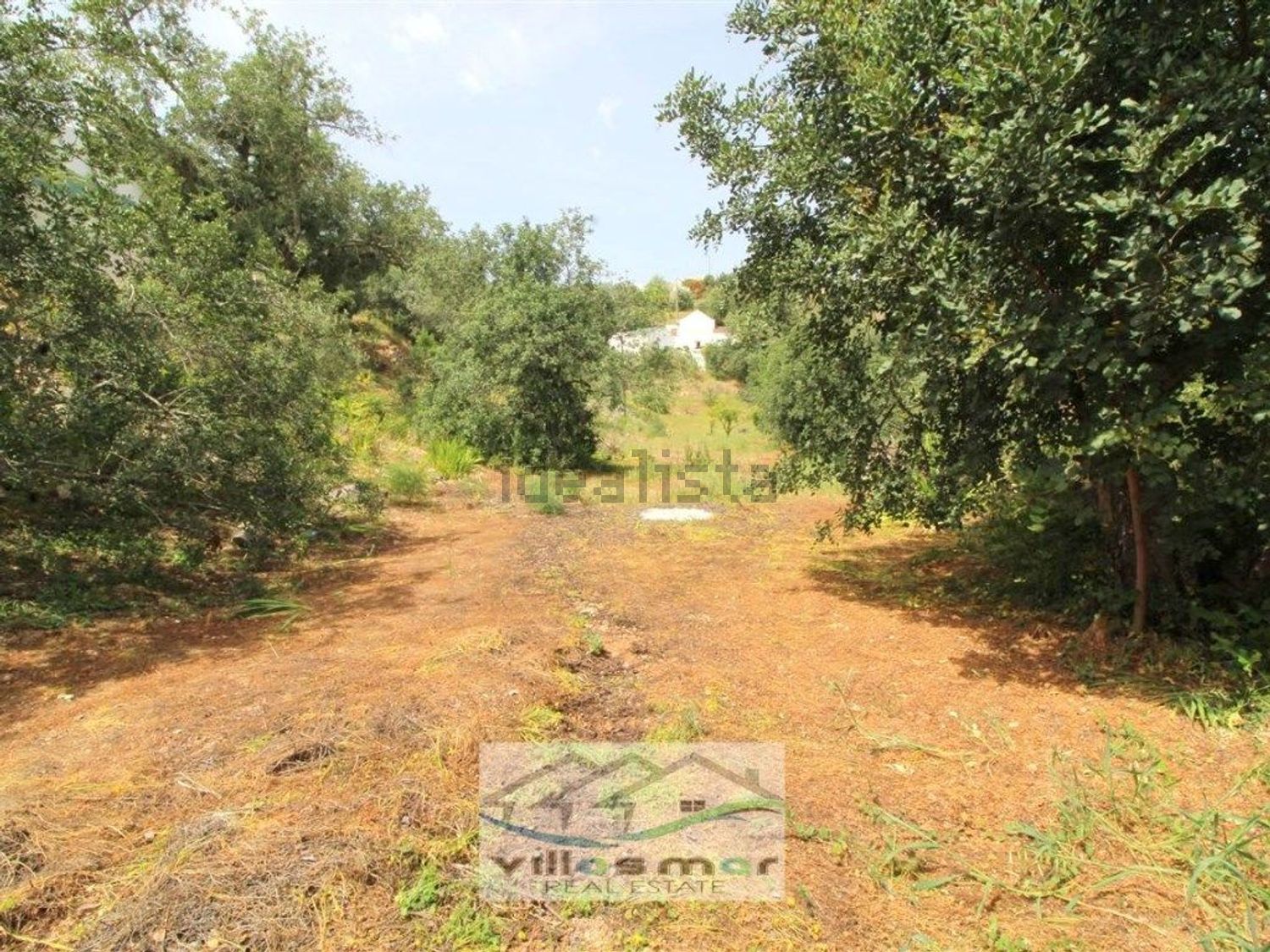 小楼房或独栋别墅出售在 Santa Margarida - Bernardinheiro - 花园