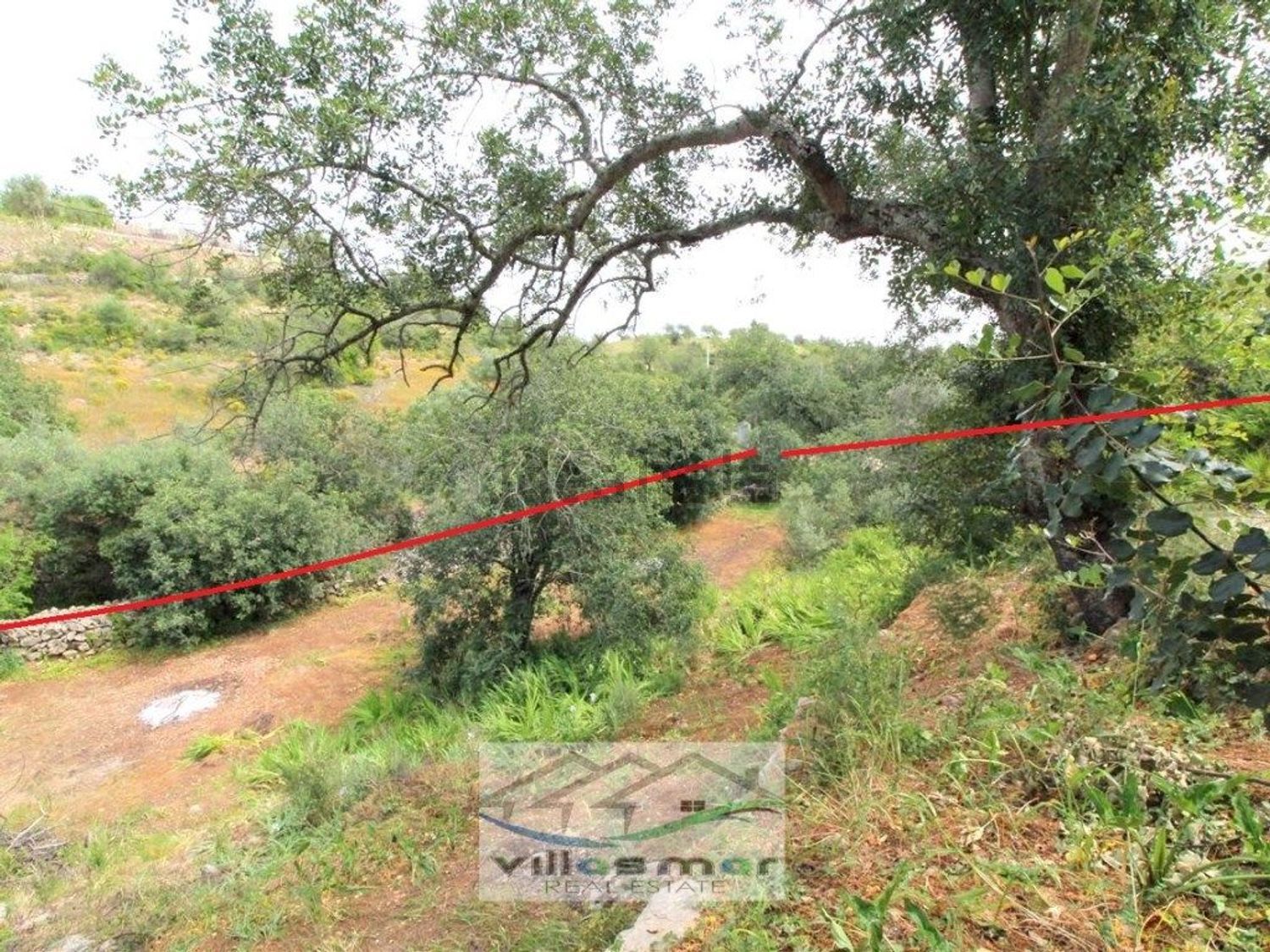 小楼房或独栋别墅出售在 Santa Margarida - Bernardinheiro - 花园