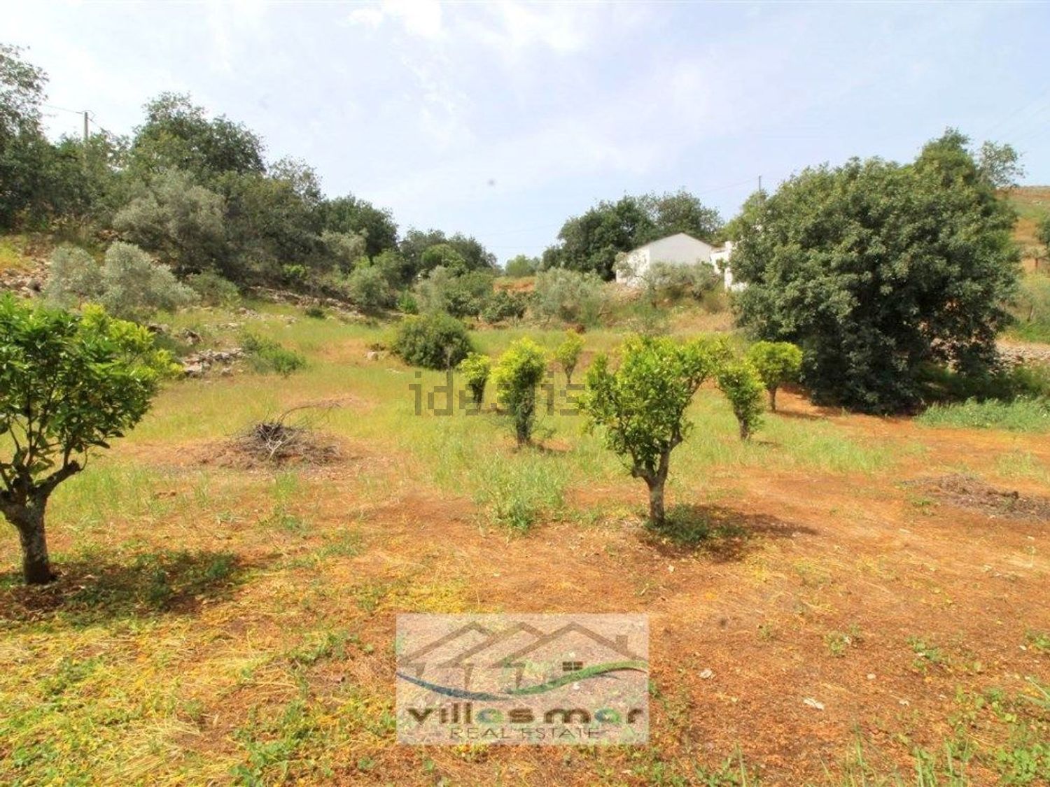 小楼房或独栋别墅出售在 Santa Margarida - Bernardinheiro - 花园