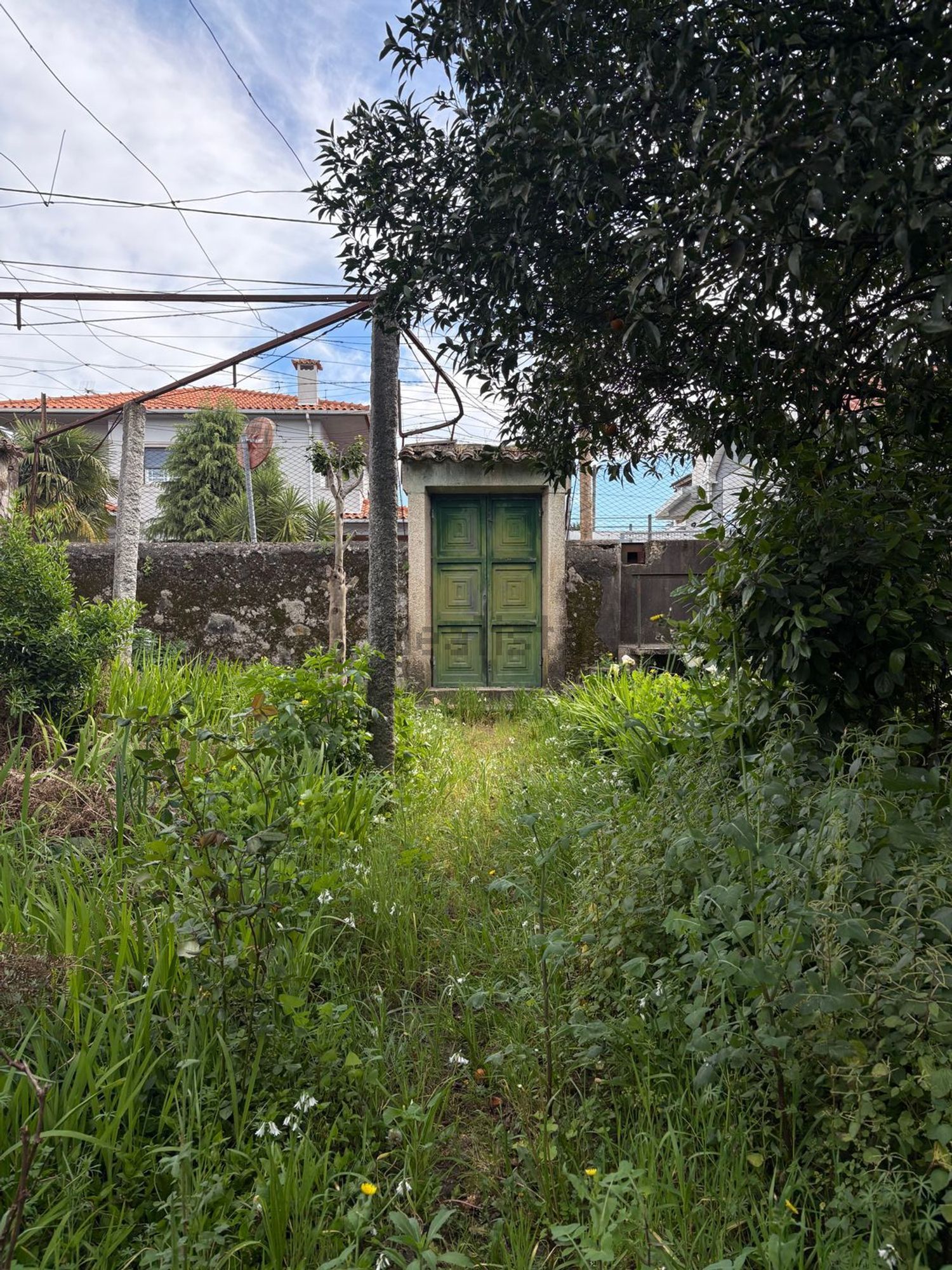 庄园出售在Rua da Agrafonte, 50 - 外立面