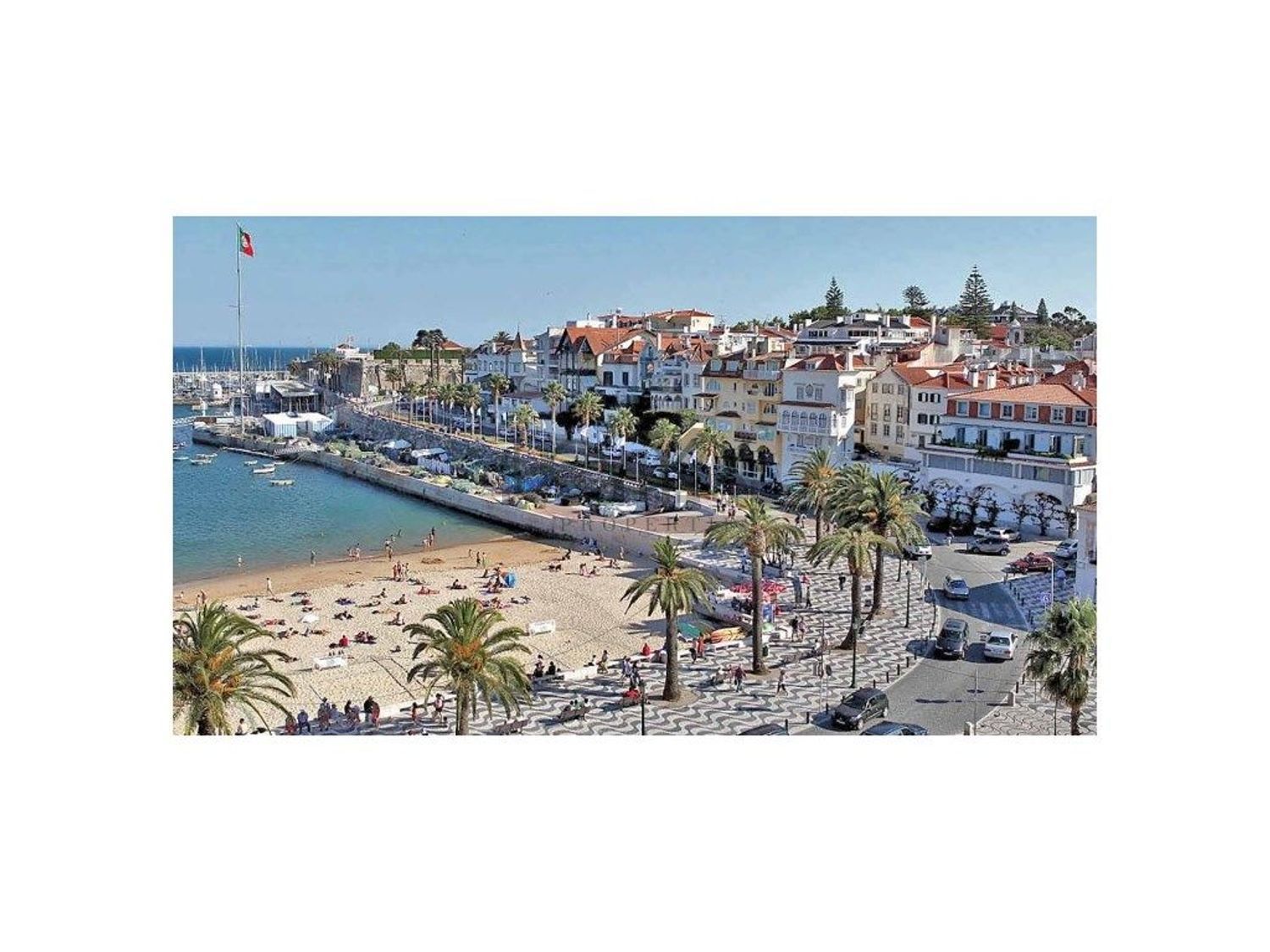 小楼房或独栋别墅出售在 Parque de Palmela - Ribeira das Vinhas - 视线