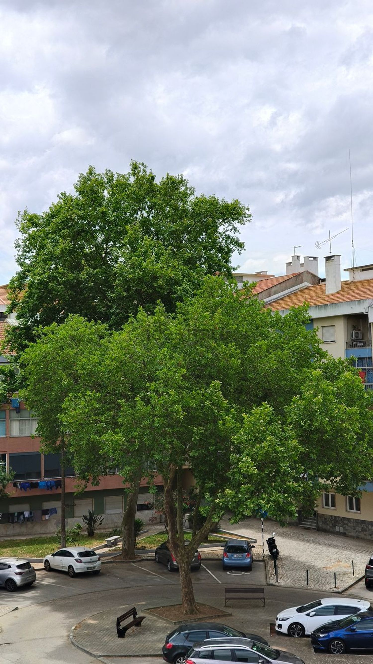 公寓 t2出售在Rua António Faria de Vasconcelos, 7 - 外立面