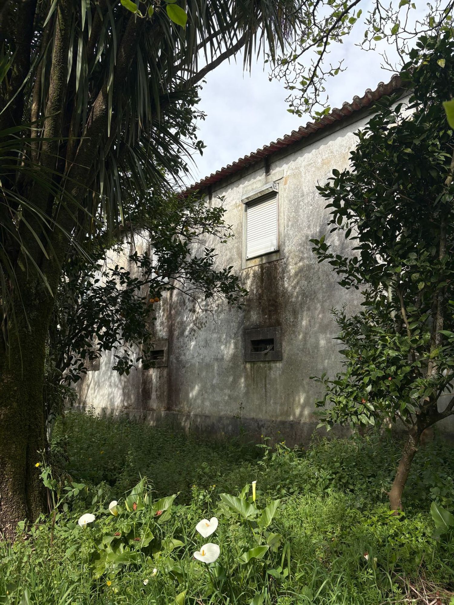 庄园出售在Rua da Agrafonte, 50 - 花园