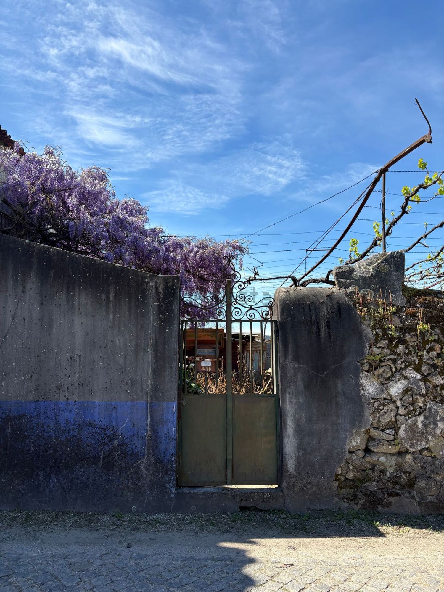庄园出售在Rua da Agrafonte, 50 - 照片