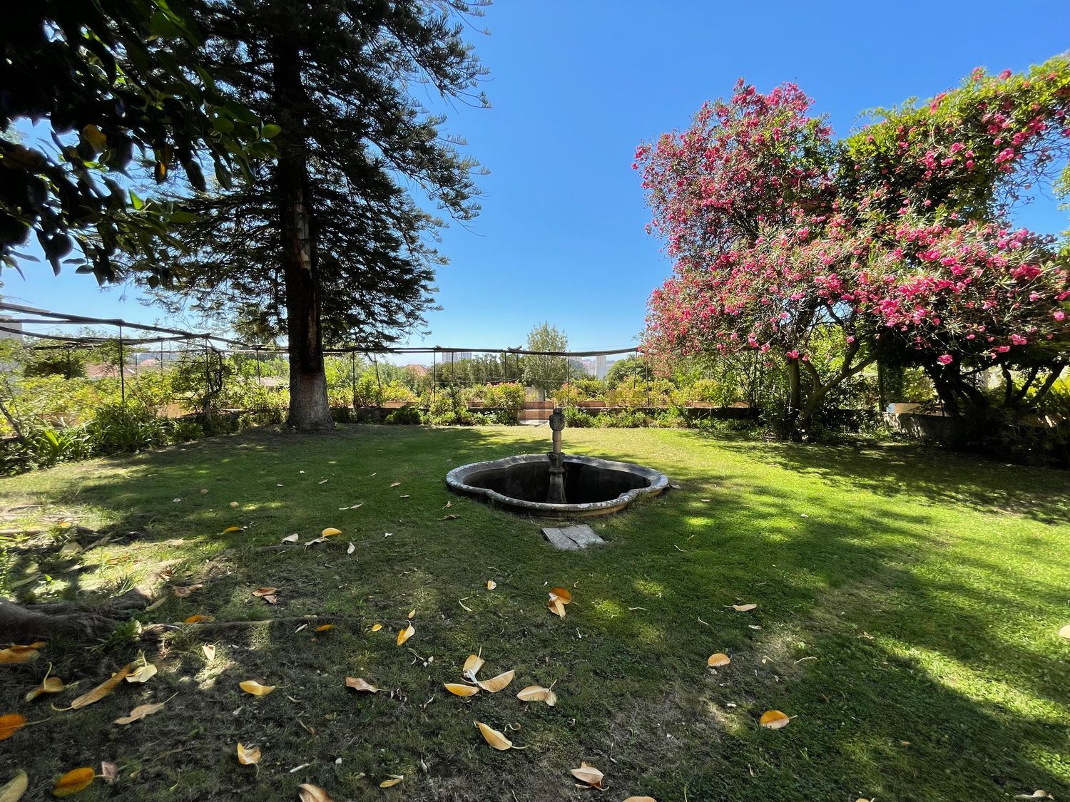 小楼房或独栋别墅出售在Rua Neves Costa, 58 - 花园