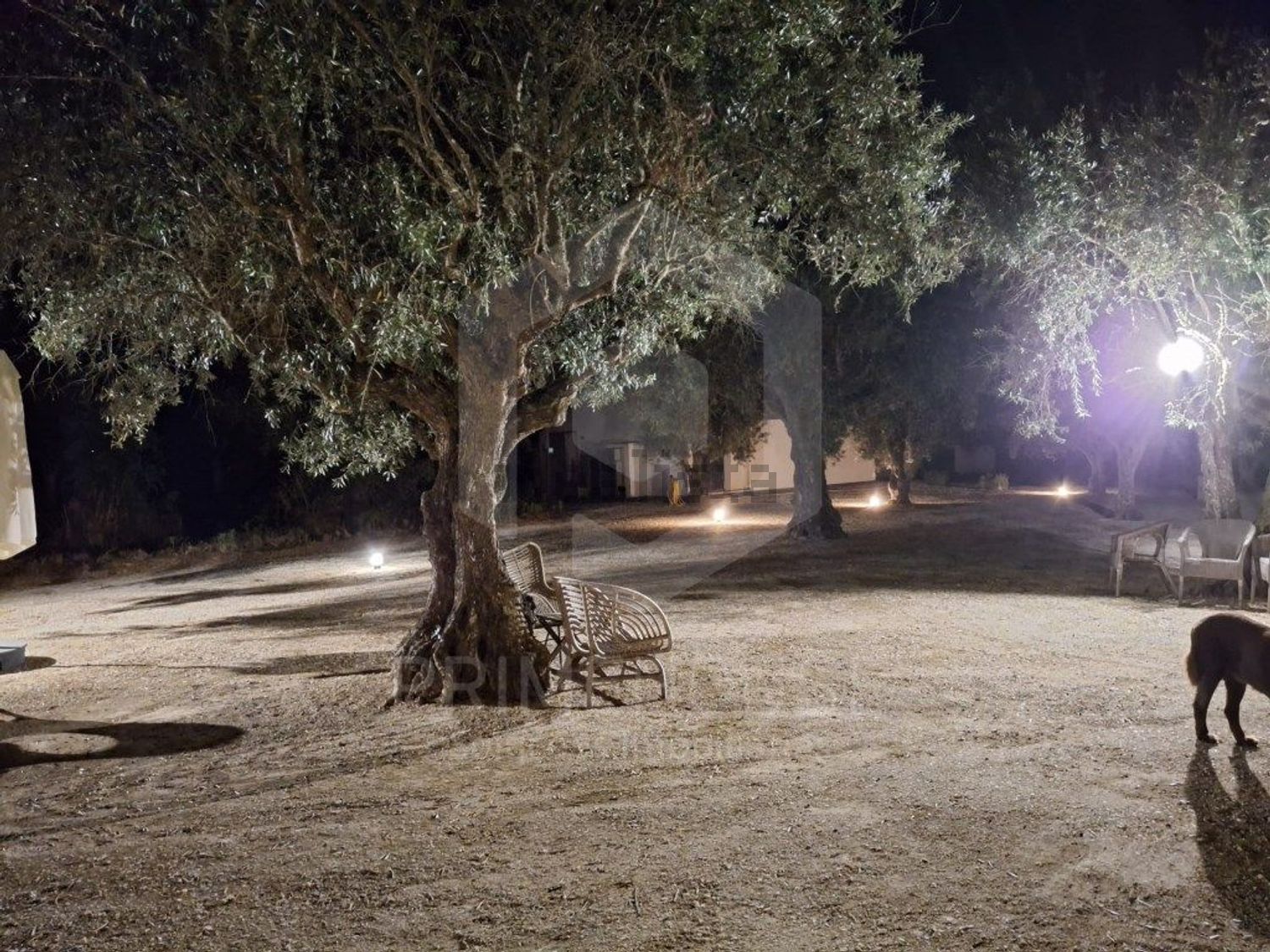 庄园出售在Rua Serra de Grândola - 花园