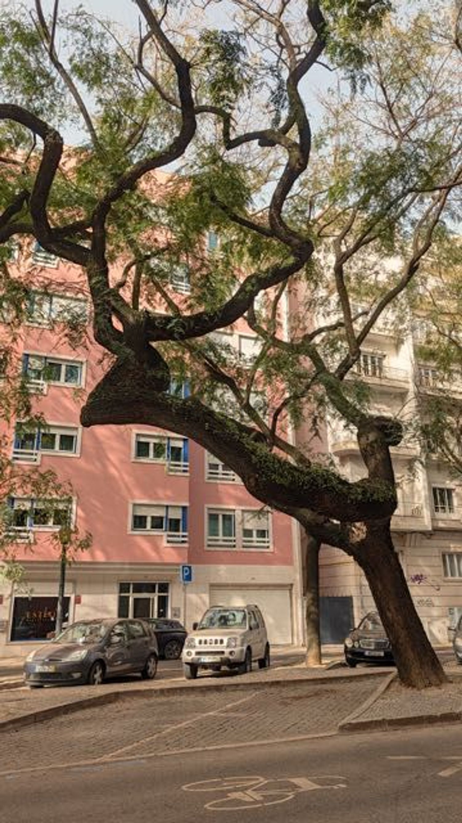 出租公寓 t3在Avenida Elias Garcia, 15 - 外立面