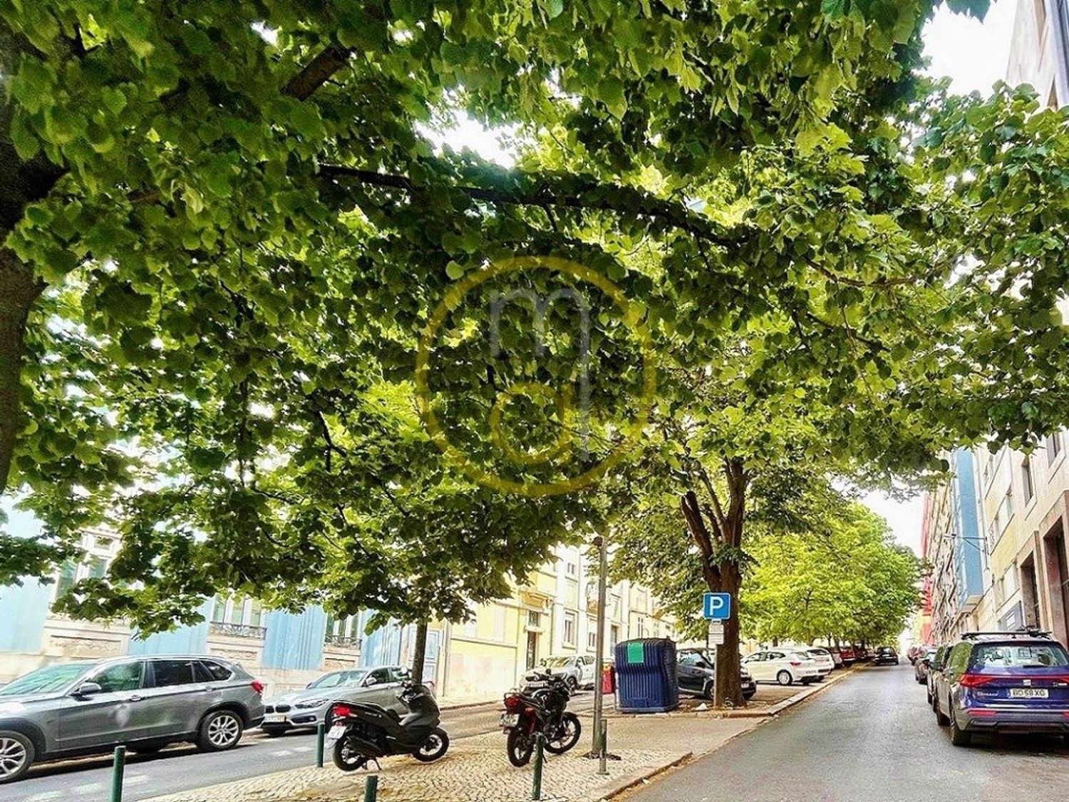 出租公寓 t1在Avenida Óscar Monteiro Torres - 周边