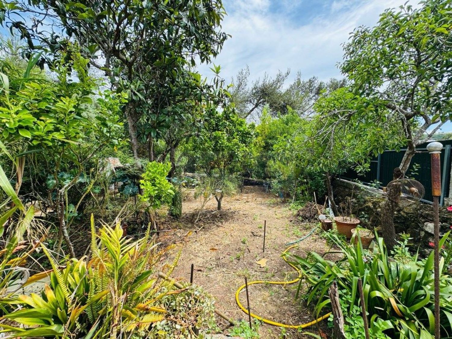 公寓 t5出售在 Centro de Belas - Quinta da Samaritana - Quinta da Fonteireira - 花园