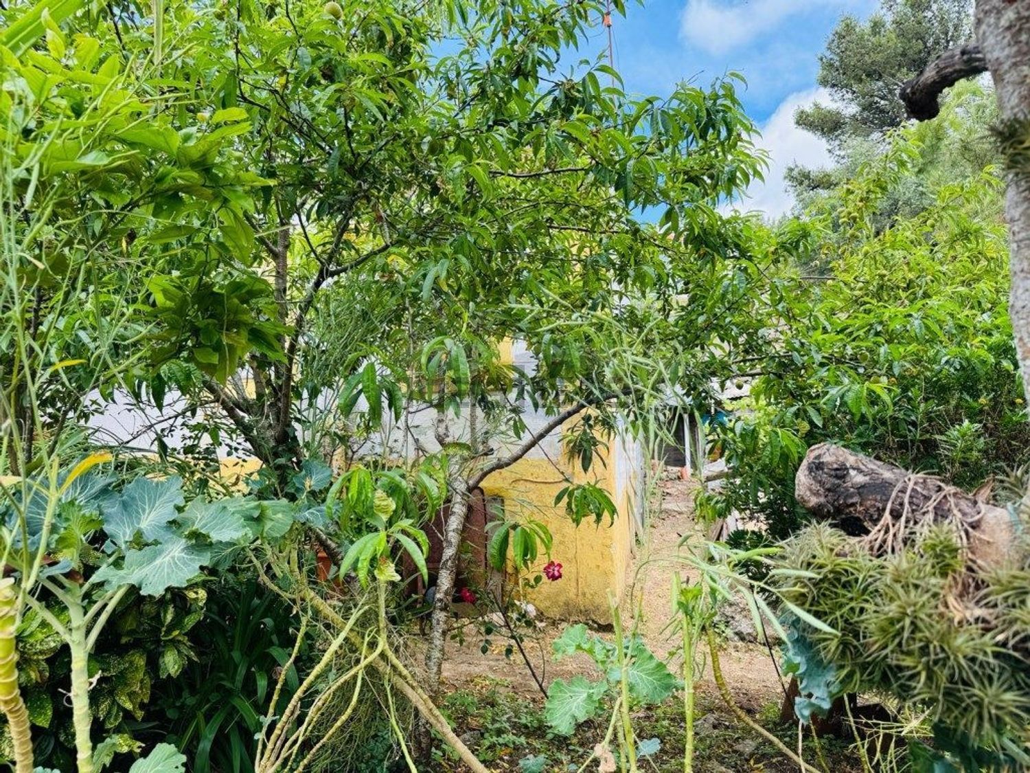 公寓 t5出售在 Centro de Belas - Quinta da Samaritana - Quinta da Fonteireira - 花园