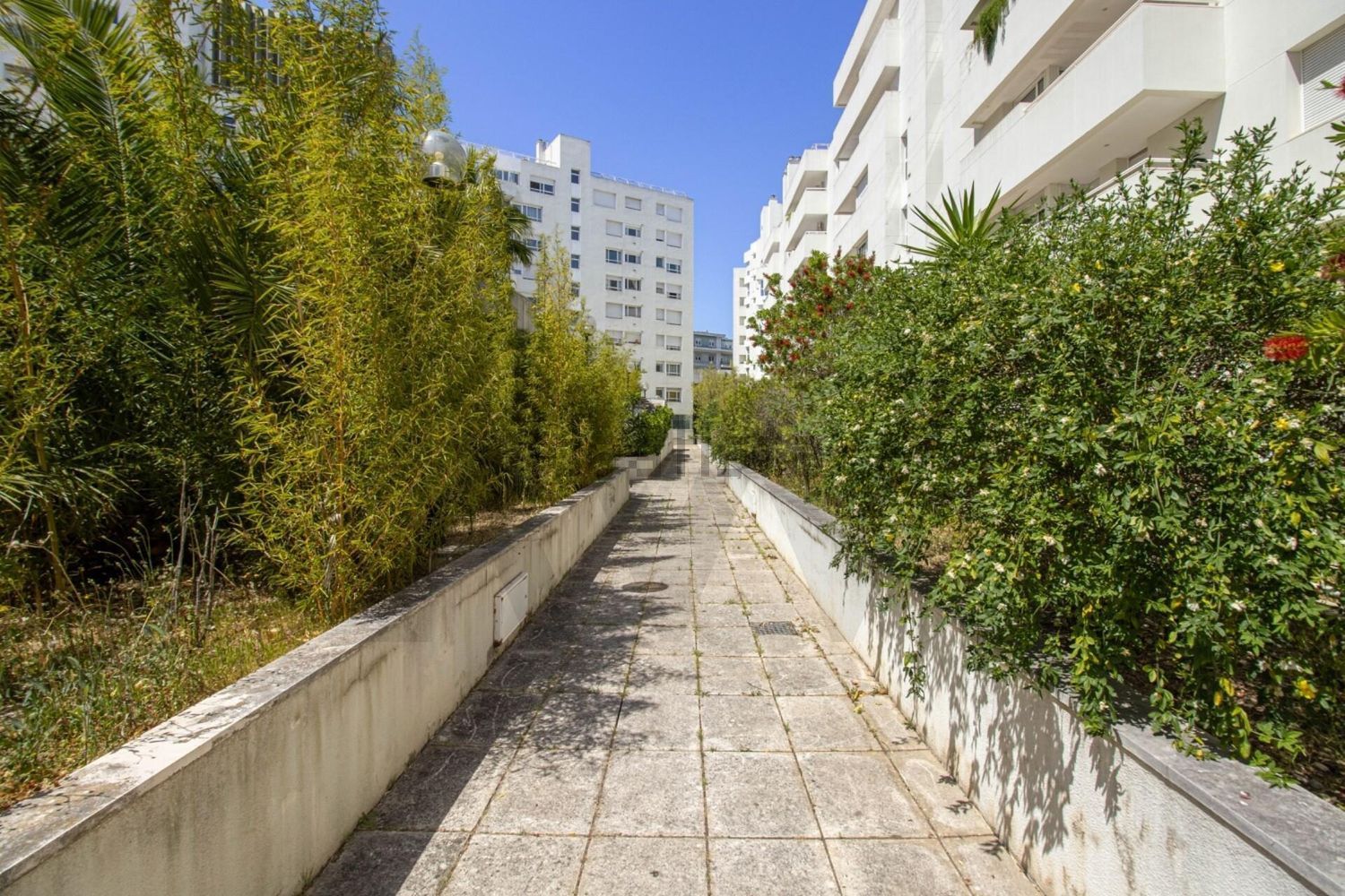 出租公寓 t2在Avenida Fontes Pereira de Melo s/n - 照片