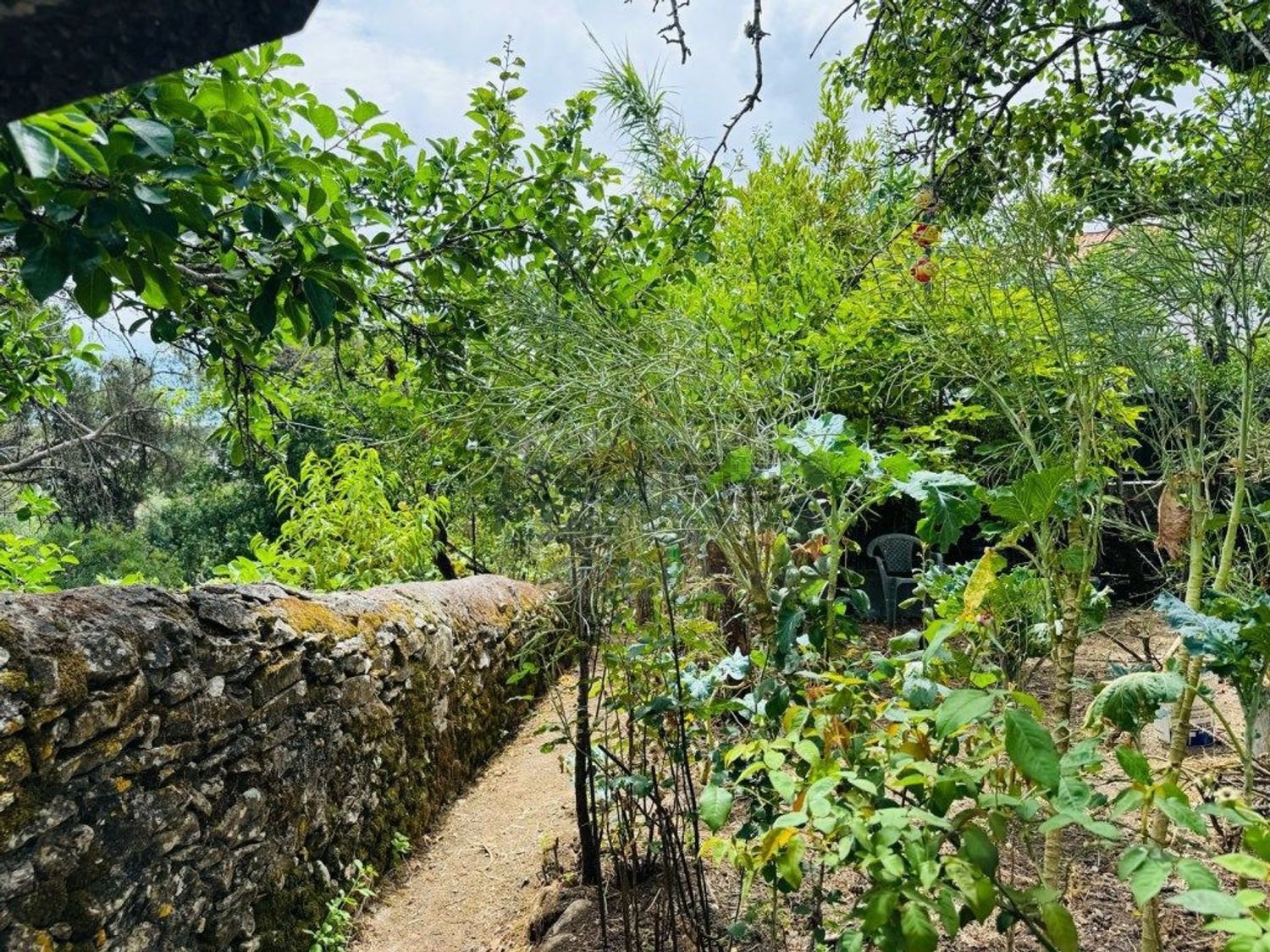 公寓 t5出售在 Centro de Belas - Quinta da Samaritana - Quinta da Fonteireira - 花园