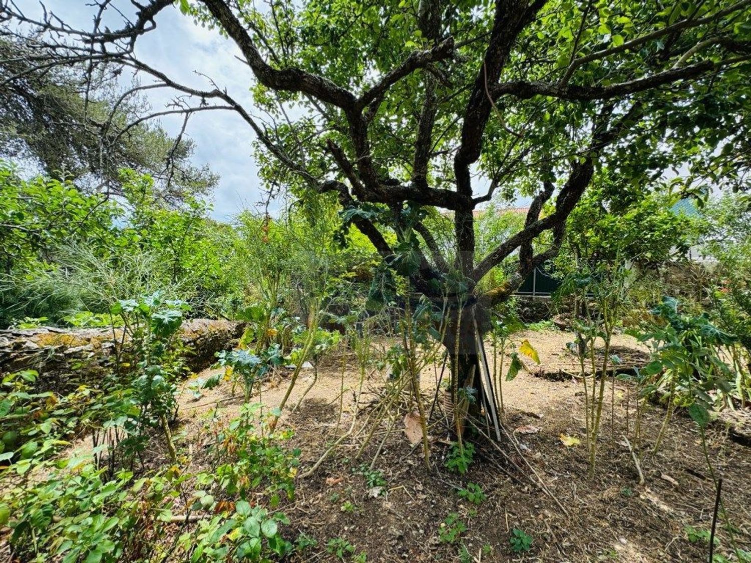 公寓 t5出售在 Centro de Belas - Quinta da Samaritana - Quinta da Fonteireira - 花园