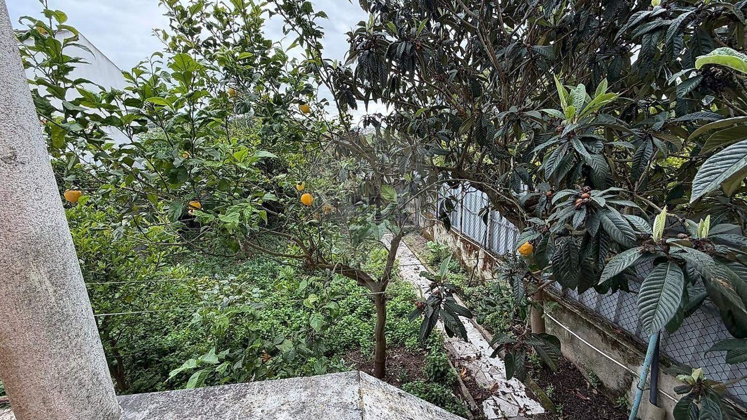 小楼房或独栋别墅出售在Rua Nossa Senhora Carmo - 花园